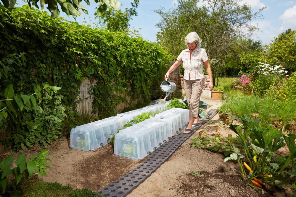 Person gießt Pflanzen in einem Gartenbeet